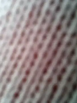 Gardener of Illusions online show from 10-31-25, 10:27