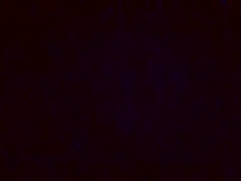 jellydicks online show from 12-17-24, 05:26