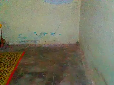 jellydicks online show from 02-11-25, 12:58