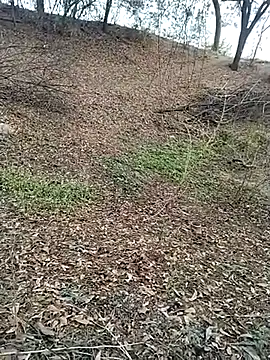 jellydicks online show from 02-28-26, 11:55