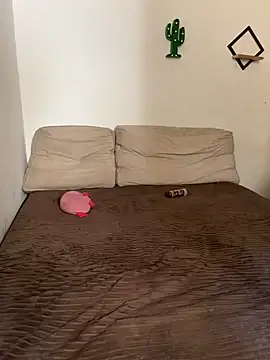 pepsicolacouple online show from 11-13-25, 05:56