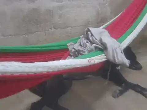 tripexnte online show from 02-16-25, 11:26