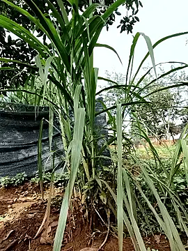 Betty20zx online show from 09-13-25, 01:16