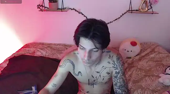 Apolo Hidalgo01 online show from 12-29-24, 04:08