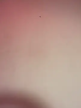 Snapshot of _Chartlotte chatting on 12-11-24, 11:32 Chartlotte online show from 12-11-24, 11:32