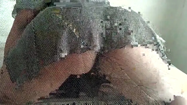 Snapshot of Bobscat11 chatting on 05-11-26, 06:30 Bobscat11 online show from 05-11-26, 06:30