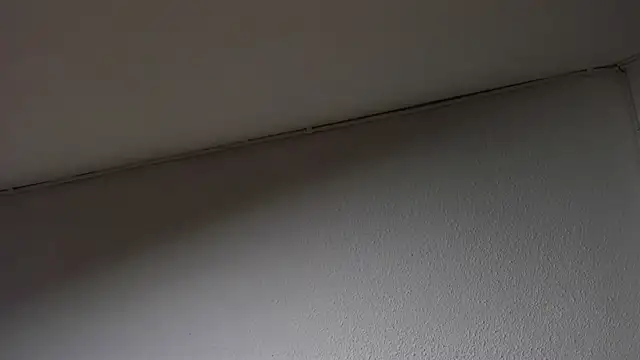 Dimitri higth420 online show from 03-15-25, 08:48