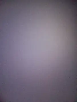 blackbitchh online show from 02-02-25, 05:21