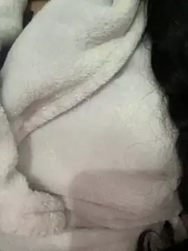 Lina-lolo online show from 12-24-24, 05:34