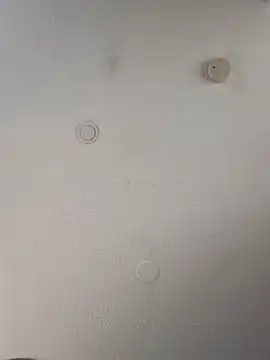 geilerschwanz64 online show from 03-12-25, 11:09