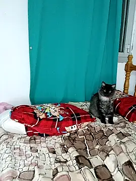 sama0012 online show from 02-19-25, 11:14