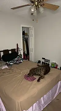 torilux online show from 02-25-25, 08:14