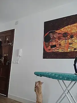 Satiro Sevilla online show from 11-12-25, 09:32