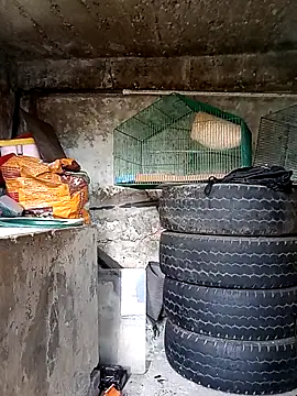 Elvishcassie  online show from 10-01-25, 06:58