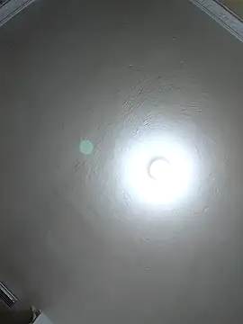 evafoxs online show from 03-22-25, 11:20