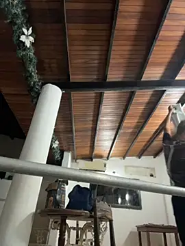 Leo bunny hot online show from 04-30-26, 12:39