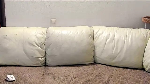 Pawsitive Panther online show from 12-02-24, 08:44