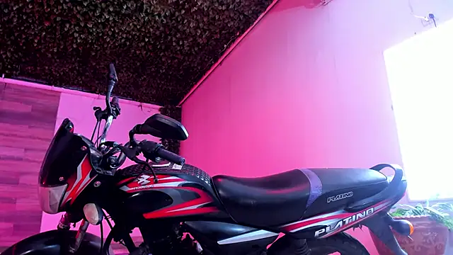 AkazaBoy  online show from 12-27-24, 04:15