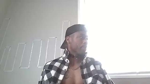 Snapshot of PETER-RABIT chatting on 12-29-24, 02:21 PETER-RABIT online show from 12-29-24, 02:21