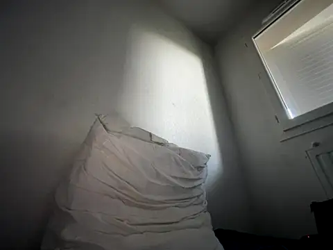 Rebeu313 online show from 11-16-25, 02:33