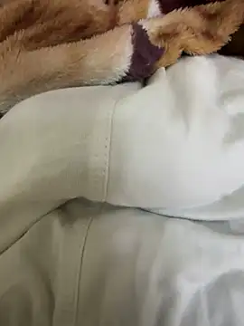 Snapshot of hamed-697 chatting on 12-04-24, 09:57 hamed-697 online show from 12-04-24, 09:57