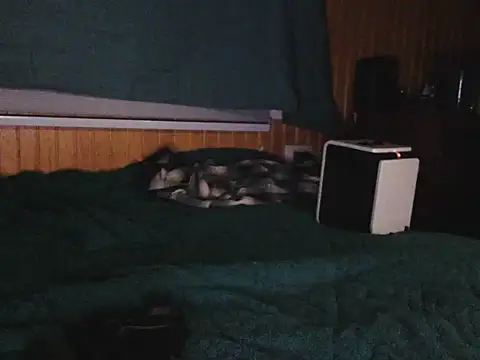 Thenicecook online show from 10-23-25, 04:12