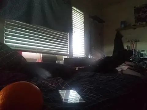 DevinToore online show from 02-24-26, 06:39