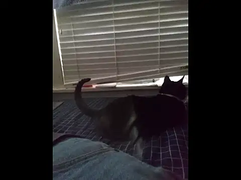 DevinToore online show from 03-20-26, 04:12