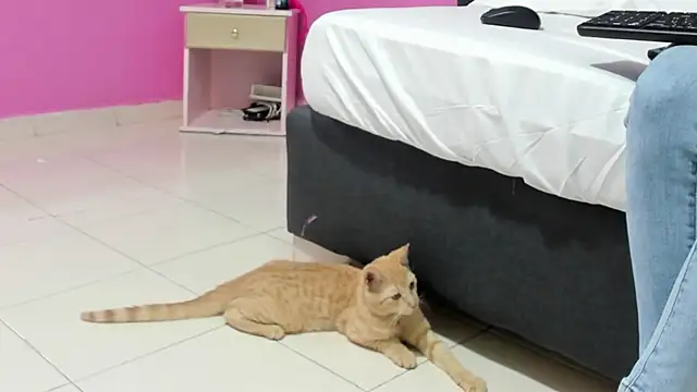  candy jade  online show from 01-15-26, 10:42