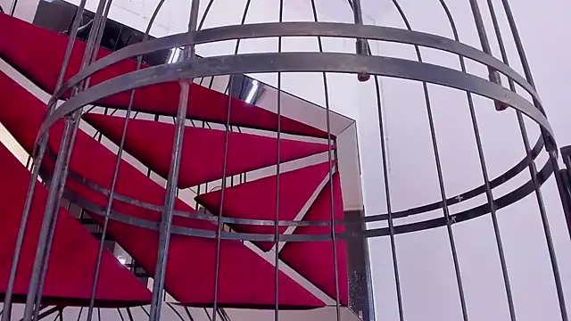 GiaFu online show from 01-25-25, 09:14