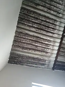 putoso031 online show from 02-23-25, 06:23