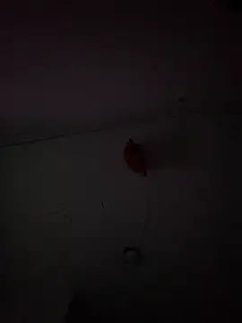 Carolinen online show from 02-03-25, 09:50