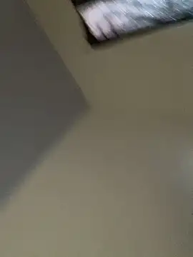 Carolinen online show from 03-04-26, 07:42