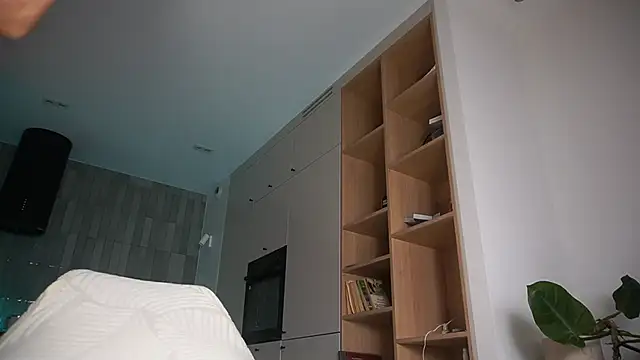 Snapshot of DreamSofia chatting on 10-11-25, 09:19 DreamSofia online show from 10-11-25, 09:19