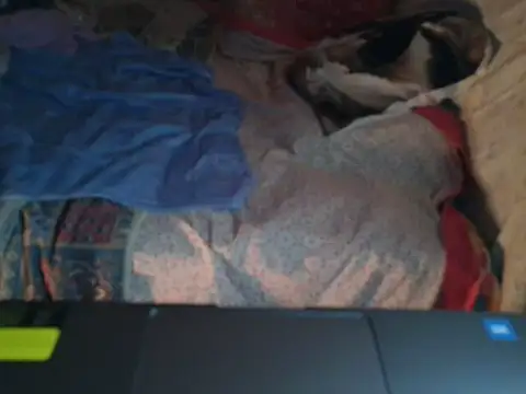 VeneRed online show from 01-17-26, 06:55