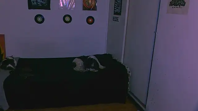 Snapshot of alex_one888 chatting on 11-09-25, 11:03 alex one888 online show from 11-09-25, 11:03