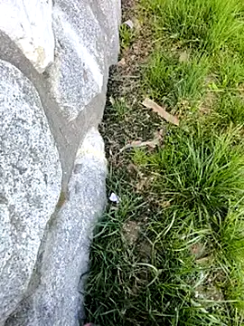 DrownMentallyyy online show from 03-22-25, 12:35