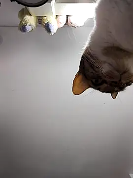 DannaDooll99 online show from 03-06-25, 10:52