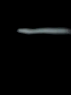 18 7polla online show from 12-01-25, 03:00