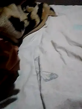 KGman91 online show from 11-28-25, 09:50