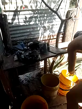 Snapshot of tayson_ chatting on 01-15-25, 05:58 tayson online show from 01-15-25, 05:58