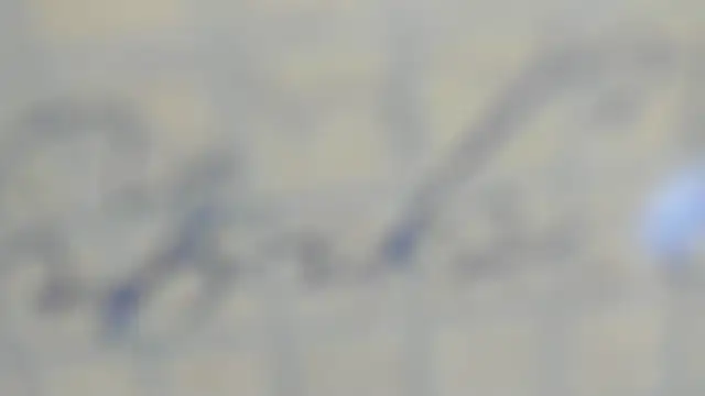 Snapshot of elis_gabbi chatting on 09-09-25, 12:59 elis gabbi online show from 09-09-25, 12:59