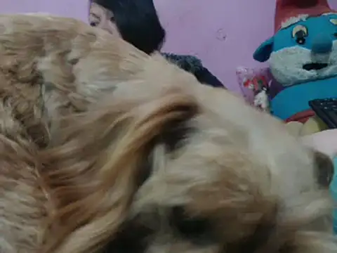 Cheliafun online show from 10-25-25, 02:13