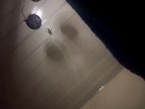 giuliana andrade online show from 12-07-24, 03:36