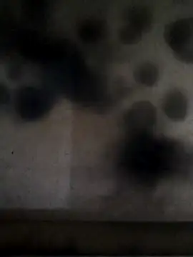 Leocesar37 online show from 04-24-26, 04:31