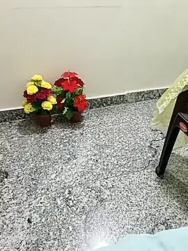 Snapshot of Saroj-Shah chatting on 09-22-25, 05:48 Saroj-Shah online show from 09-22-25, 05:48