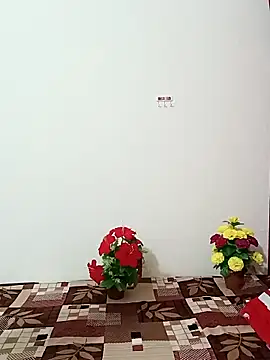 Snapshot of Saroj-Shah chatting on 10-11-25, 03:50 Saroj-Shah online show from 10-11-25, 03:50