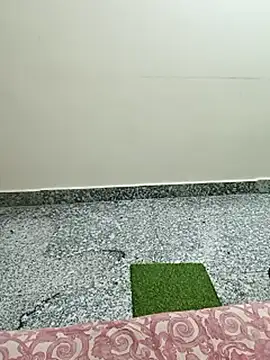 Saroj-Shah online show from 03-10-26, 05:07