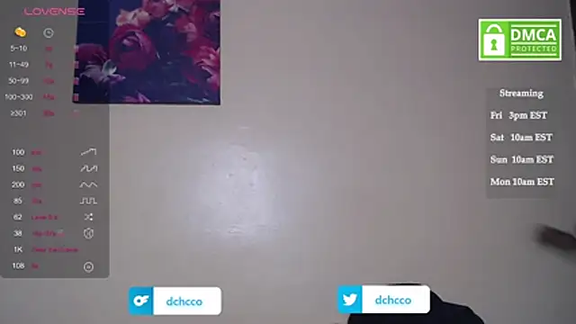 dchcco online show from 11-07-25, 08:09