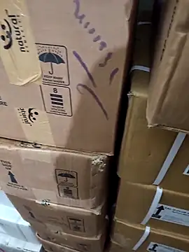 nupa230780 online show from 12-21-25, 06:31